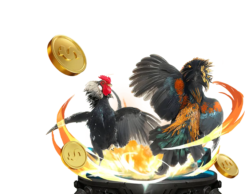 Giấy phép và quy định của nhà cái